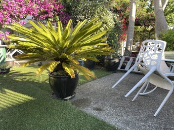 Image 1 of 4
