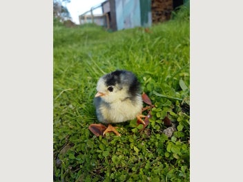 Image 1 of 10