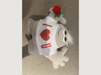 Image 1 of 1