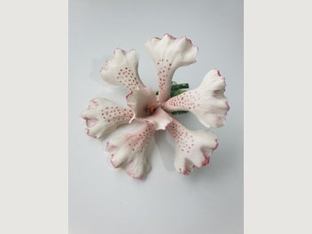 Image 1 of 11