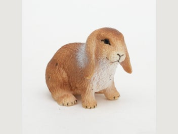Image 1 of 7