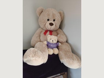 Image 1 of 2