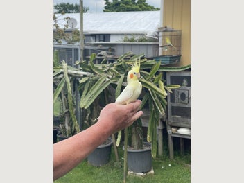 Image 1 of 4