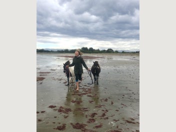 Image 1 of 7