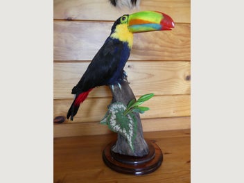 Image 1 of 7