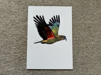Image 1 of 4