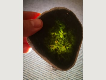 Image 1 of 10