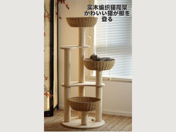 Image 1 of 13