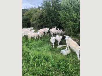 Image 1 of 6