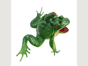 Image 1 of 3