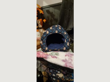 Image 1 of 18
