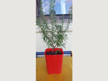 Image 1 of 12