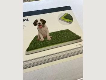 Image 1 of 4