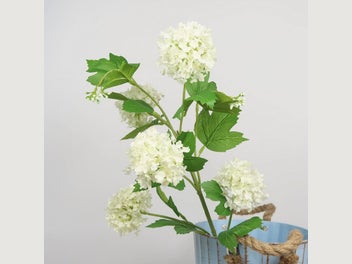 Image 1 of 15