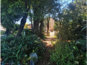 Image 1 of 29