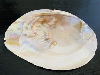 Image 1 of 7