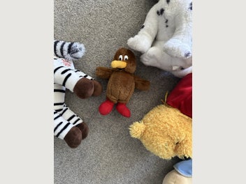 Image 1 of 14