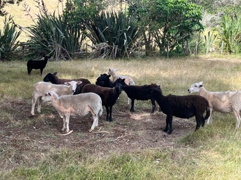 Image 1 of 6