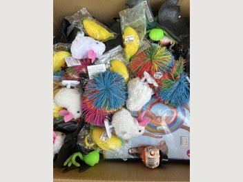 Image 1 of 15