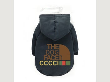 Image 1 of 7