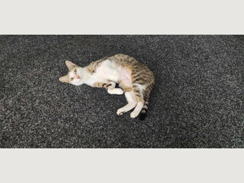 Image 1 of 6