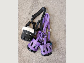Image 1 of 10
