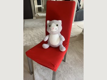 Image 1 of 16