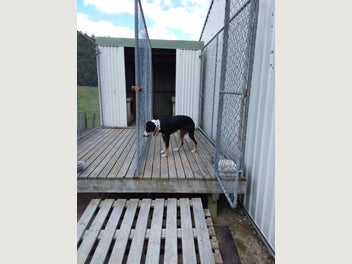 Image 1 of 9