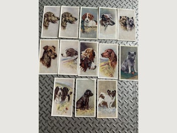 Image 1 of 8