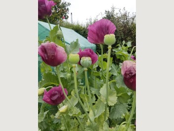 Image 1 of 7