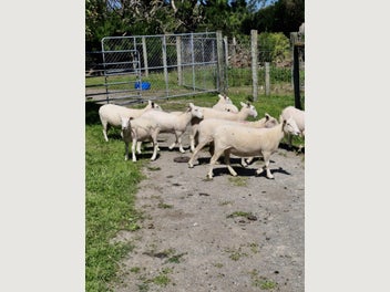 Image 1 of 3