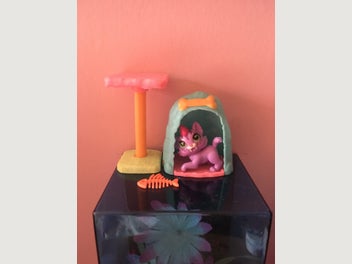 Image 1 of 12