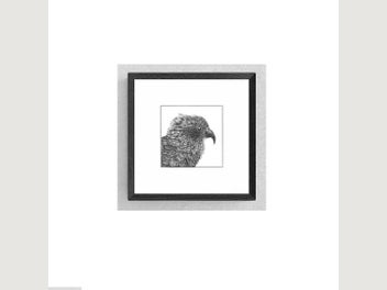 Image 1 of 16