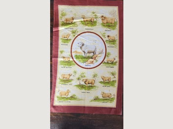 Image 1 of 7