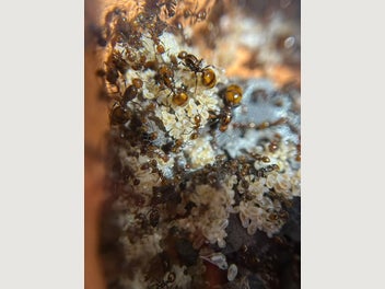 Image 1 of 8