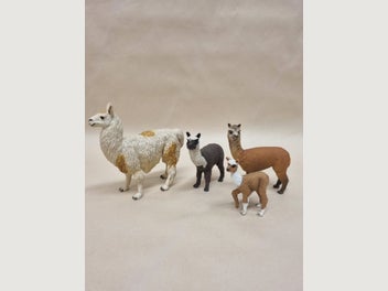 Image 1 of 6
