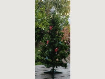 Image 1 of 12
