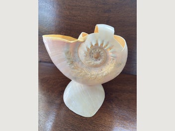 Image 1 of 15