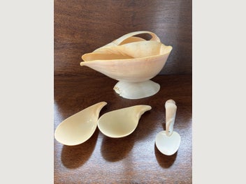Image 1 of 15