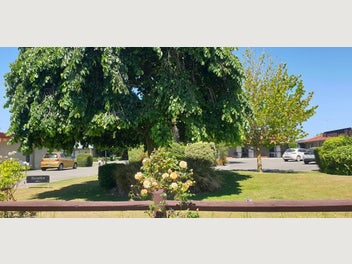 Image 1 of 13