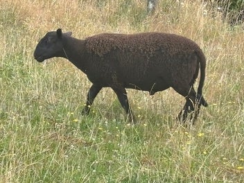 Image 1 of 6