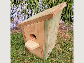 Image 1 of 8