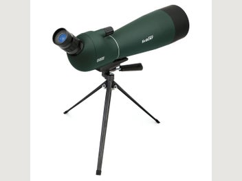 Image 1 of 7