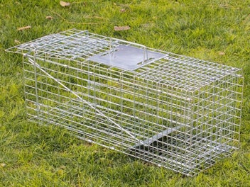 Image 1 of 4