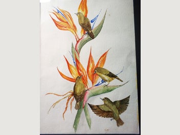 Image 1 of 3