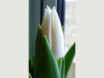 Image 1 of 13