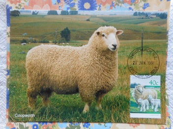 Image 1 of 2