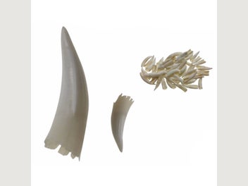 Image 1 of 7