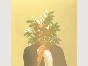 Image 1 of 1