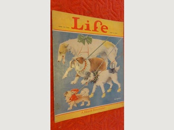 Image 1 of 1